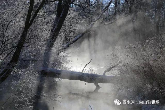 色度室逃生