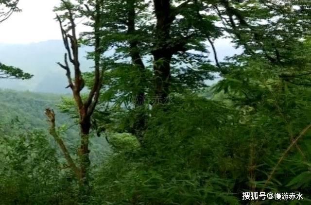 中国校服